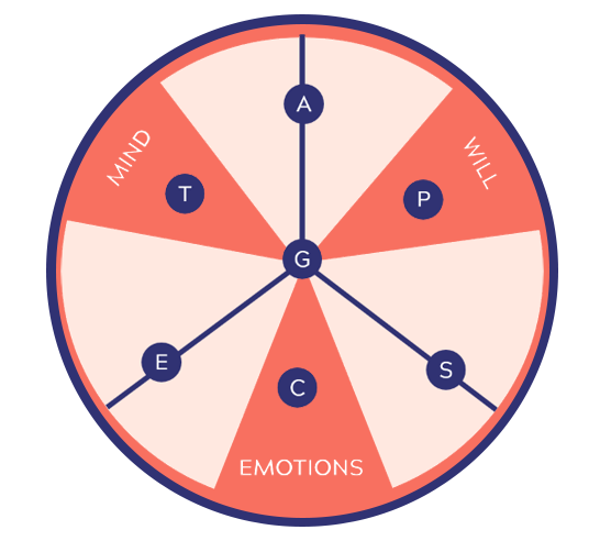 The Motivational Wheel, a circle divided into 6 slices consisting of the Mind, Will, and Emotions plus the shaded areas between each., with 3 lines through the shaded areas. Letters that correspond to each gift are placed in different areas of the wheel.

The Mind slice of the graph includes  the letter T for the Teacher gift.

The Will slice of the pie contains a P for the Perceiver gift.

The Emotions slice includes a C for the Compassion gift.

The remaining gifts are spread on 3 axes bisecting the shaded areas with the G for Giver in the center.

A for Administrator sits between Mind & Will. S for Server sits between Will & Emotions. and the E for Exhorter sits between Emotions & Mind.