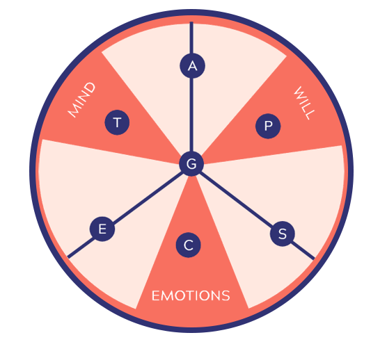 The Motivational Wheel, a circle divided into 6 slices consisting of the Mind, Will, and Emotions plus the shaded areas between each., with 3 lines through the shaded areas. Letters that correspond to each gift are placed in different areas of the wheel.

The Mind slice of the graph includes  the letter T for the Teacher gift.

The Will slice of the pie contains a P for the Perceiver gift.

The Emotions slice includes a C for the Compassion gift.

The remaining gifts are spread on 3 axes bisecting the shaded areas with the G for Giver in the center.

A for Administrator sits between Mind & Will. S for Server sits between Will & Emotions. and the E for Exhorter sits between Emotions & Mind.